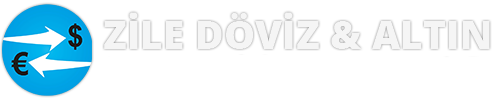 Zile döviz Logo